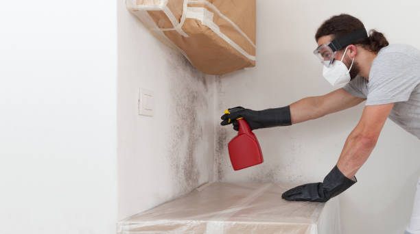 Professional Hvac And Air Duct Mold Remediation technician working in Plainview, NY